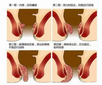 調整大小 微信圖片_20230804143404.png